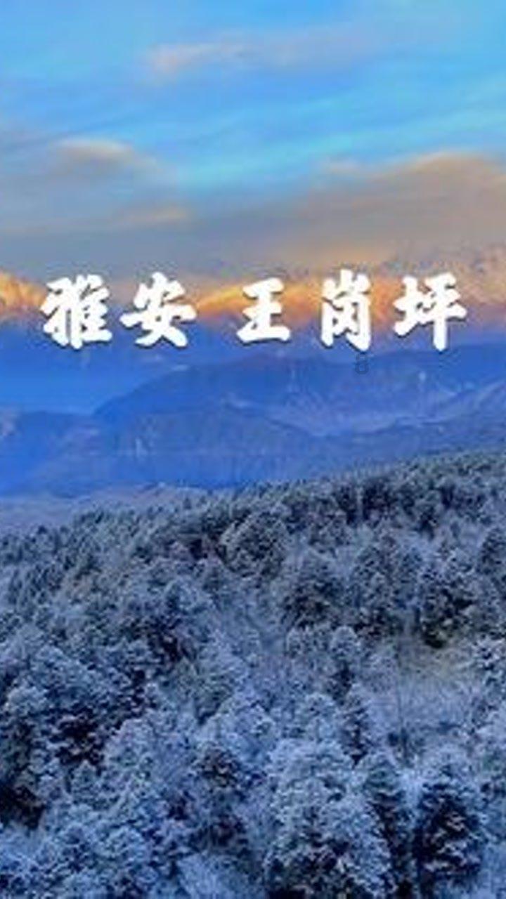 本命佛和十二生肖应该用哪个？