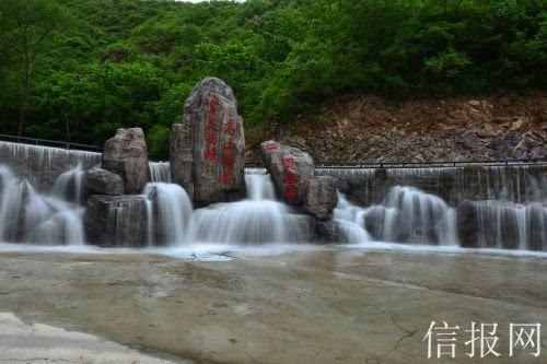 发现发财树,这样子是什么原因?怎么治疗?的交流平台