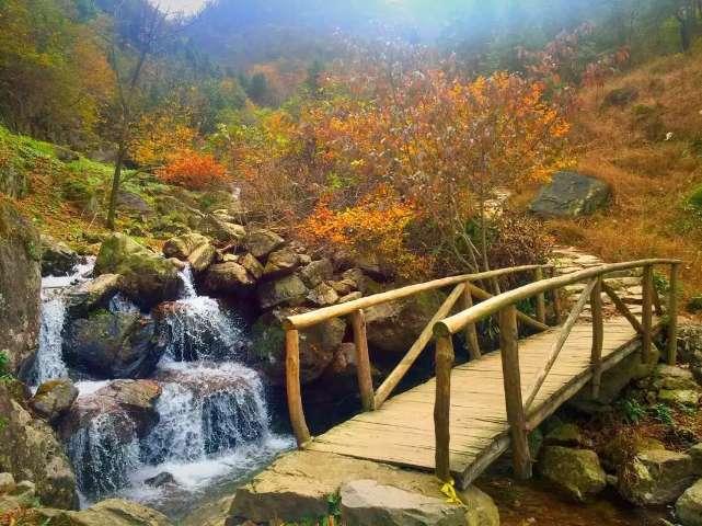 武林立志传